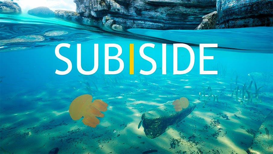 Subside: ANÁLISIS